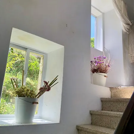 Casa Do Rachelo